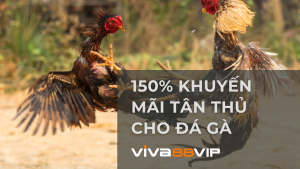 Read more about the article Thưởng 150% cho tân thủ đá gà