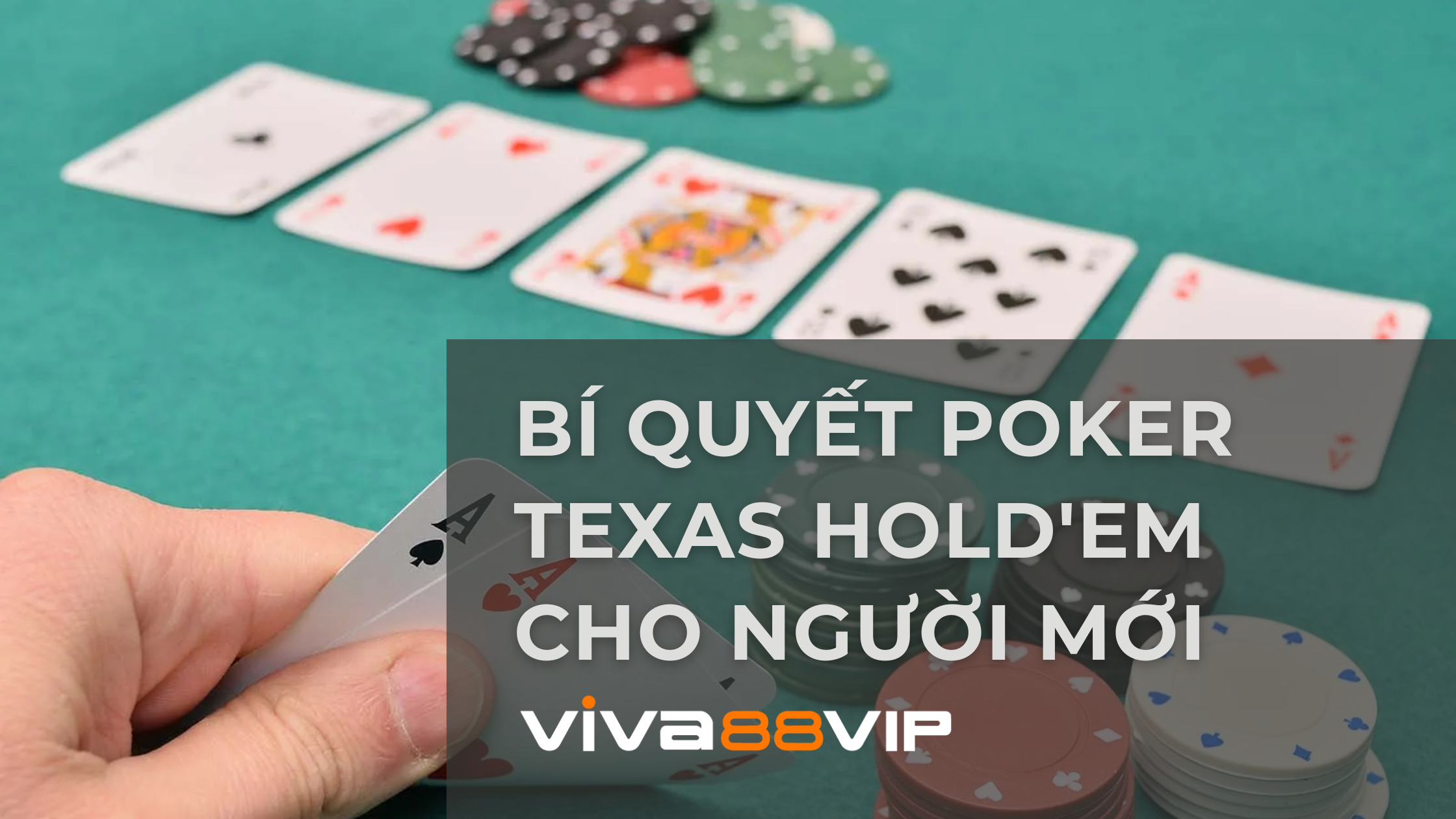 Read more about the article Hướng Dẫn Cách Chơi Poker Texas Hold’em Cho Người Mới Bắt Đầu